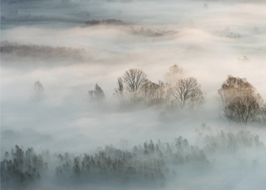 Winternebel | Tapete