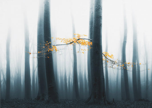 Speulder Revisited | Hintergrund