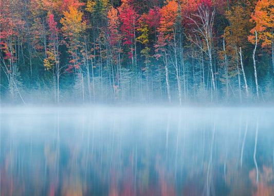 Morgenreflexion | Tapete