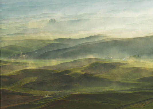 Goldener Morgen - Palouse | Poster