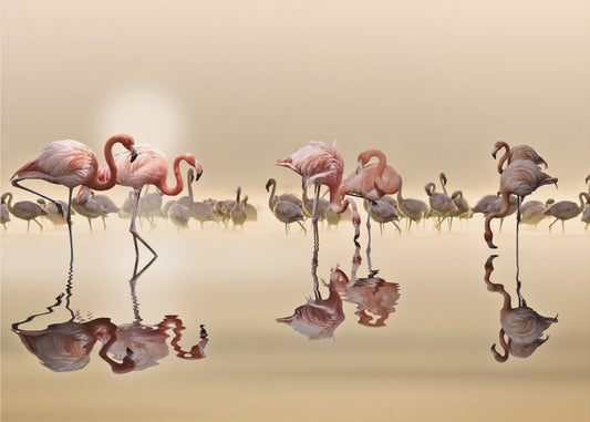 FLAMINGOS | Tapete