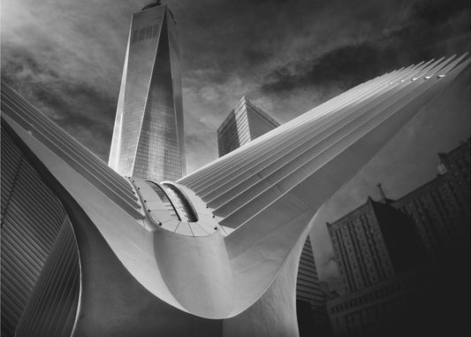 Oculus #01 | Hintergrundbild
