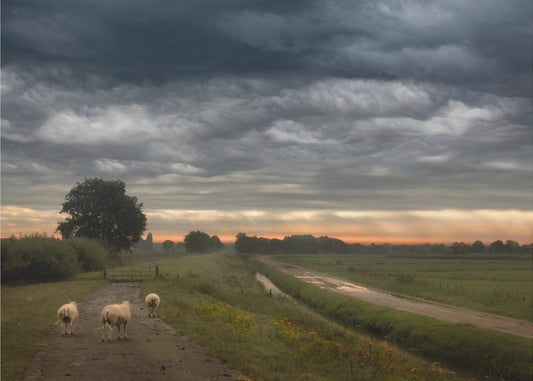 Wehende Wolken | Poster