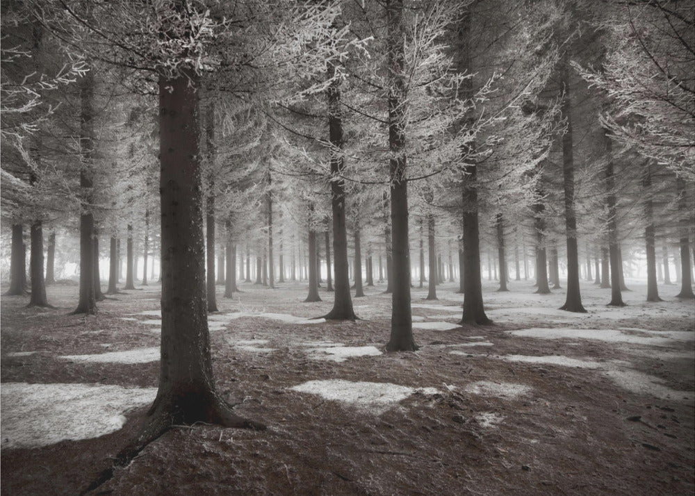 Der Wintereinbruch | Poster