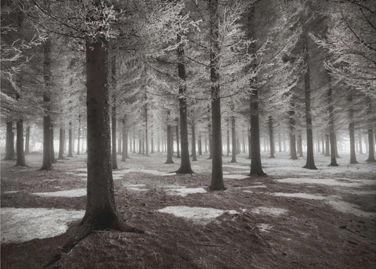 Der Wintereinbruch | Hintergrundbild