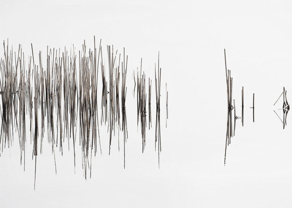 Rhythm | Canvas