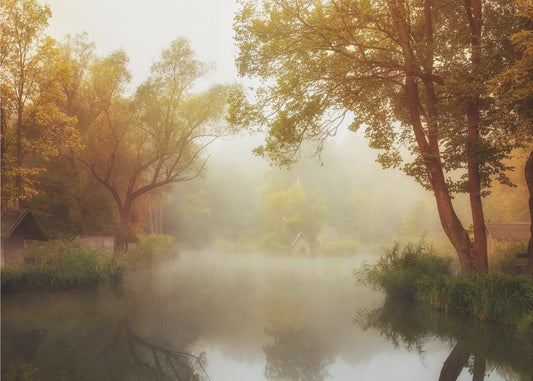 Foggy Autumn | Poster