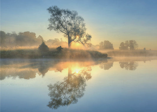 Morgenreflexion | Tapete