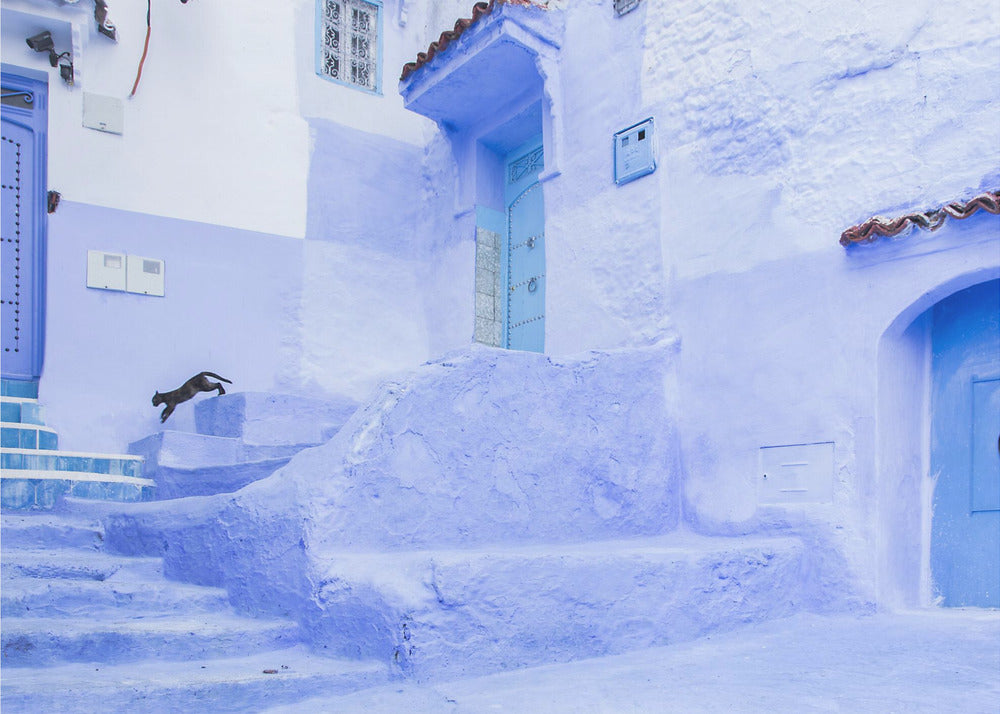 El salto | Leinwand