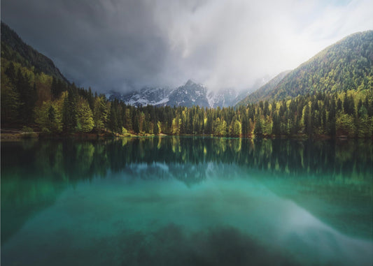 Menta. | Tapete