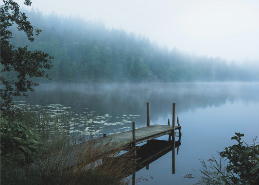 Launischer Morgen | Leinwand