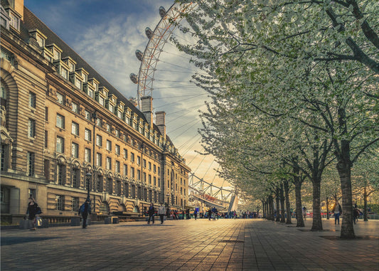 Letztes Tageslicht am London Eye | Hintergrundbild