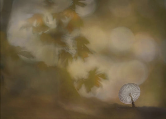 Autumn atmosphere | Poster