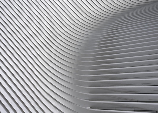 Calatrava Curves # 2 | Leinwand