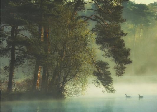 Dutch fen | Poster