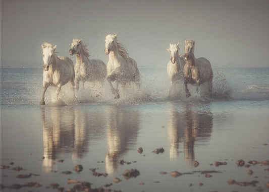 Camargue-Pferde | Tapete