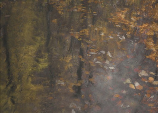 Herbstimpression | Leinwand