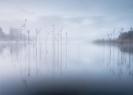 Ohne Titel | Tapete