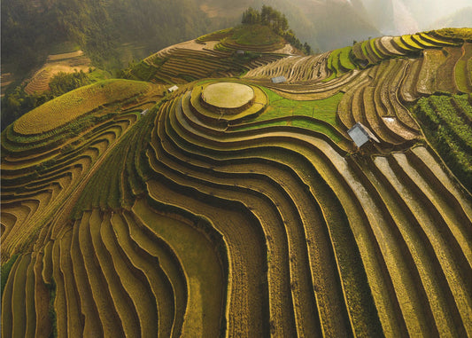 mu cang chai - vietnam | Tapete