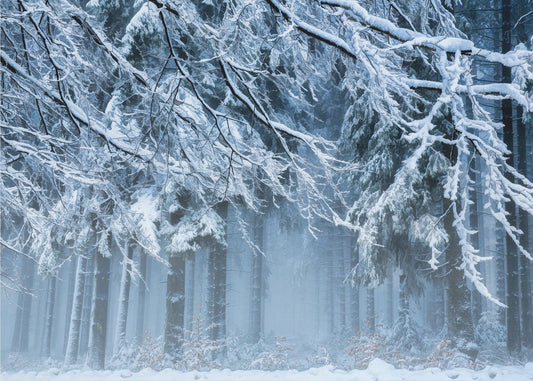 Snowworld | Poster