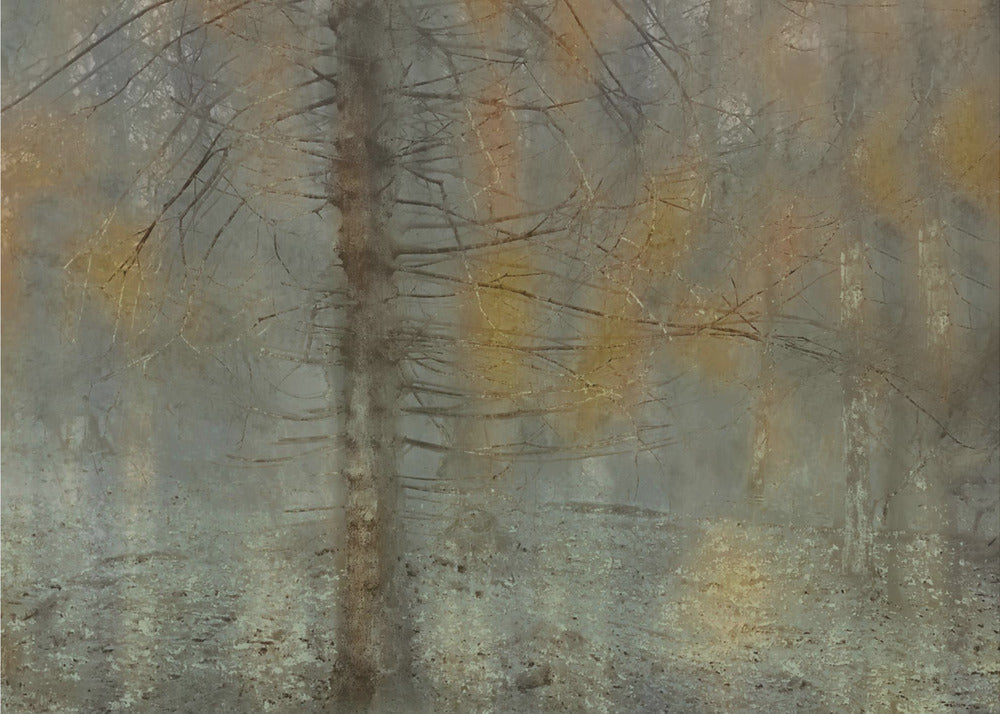 Kiefernbaum | Poster