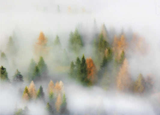 Herbsttraum | Leinwand