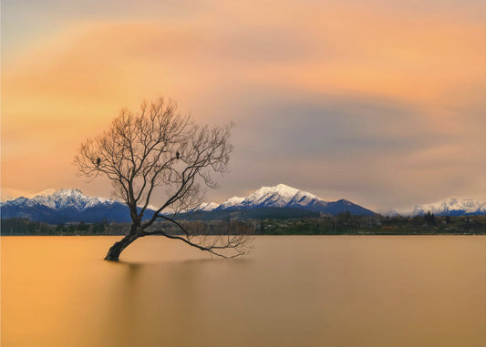 Morgenrot des Lake Wanaka | Hintergrundbild