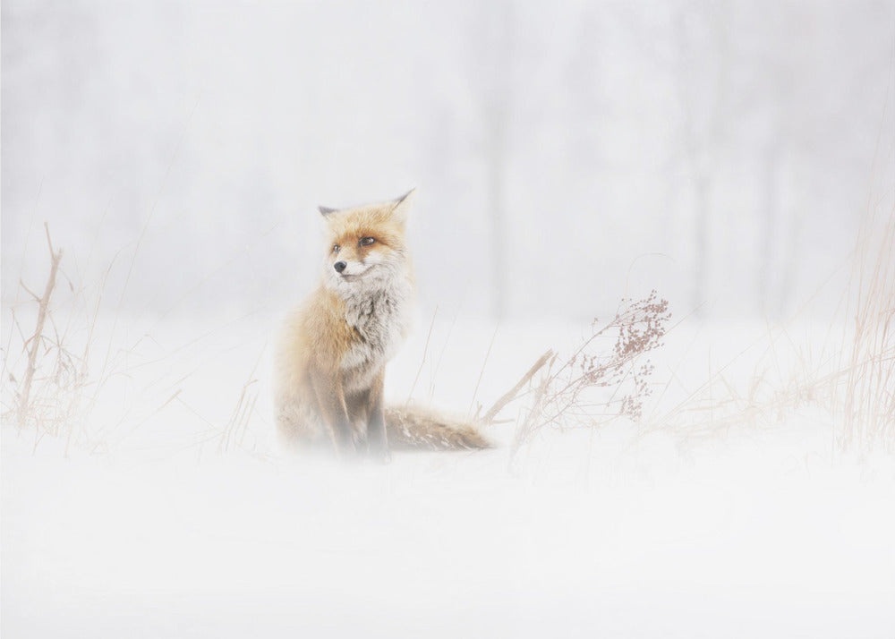 Warten... | Hintergrundbild