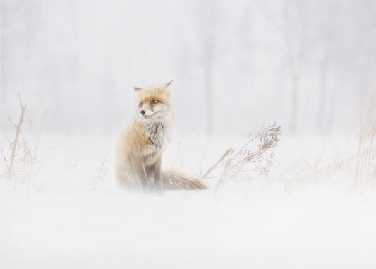 Warten... | Hintergrundbild
