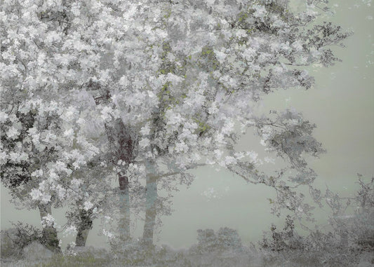 Frühling | Leinwand