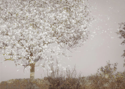 Fruit tree | Poster