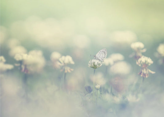 kleine Welt | Hintergrundbild