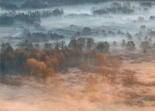 Autumnal misty dawn | Canvas