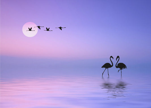 Flying Flamingo | Poster