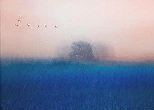 Der Baum auf dem Blau | Hintergrundbild
