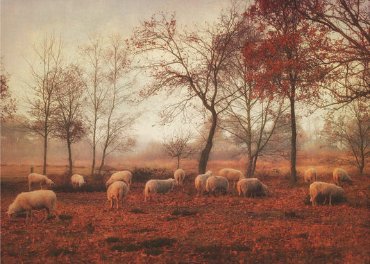 Letzte Herbsttage | Hintergrundbild