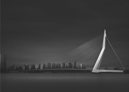 Erasmusburg | Tapete