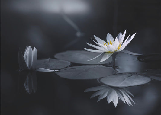 Reflexion | Leinwand