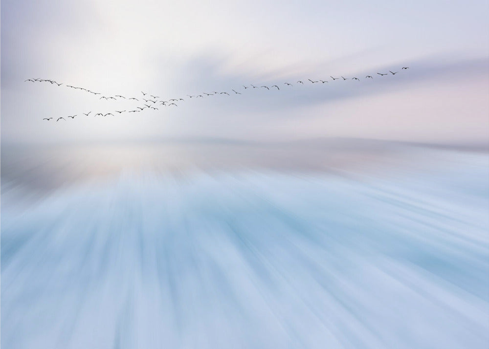 überfliegen | Leinwand