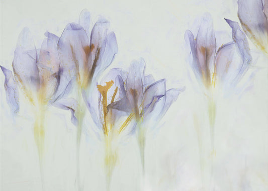 Frühling | Leinwand