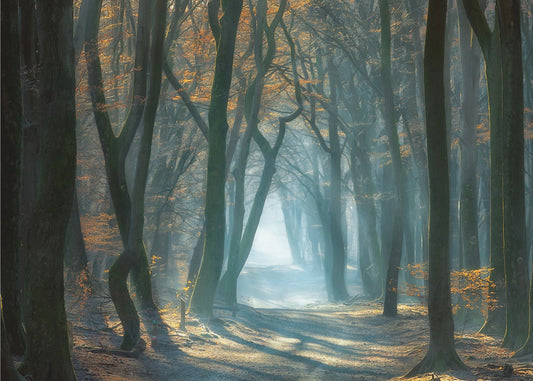 Kaltes Licht | Poster