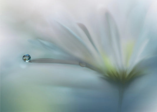 Felder der Hoffnung.. | Hintergrundbild