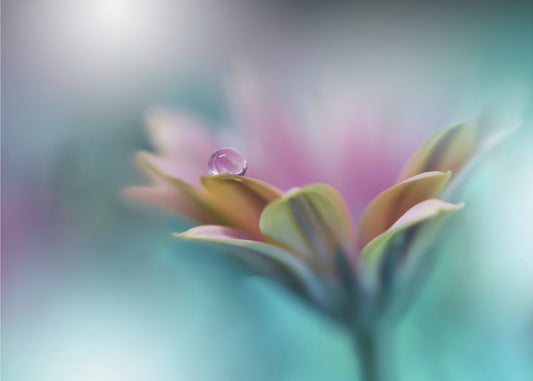 Erinnerungen ans Meer.. | Hintergrundbild
