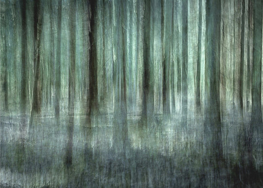Waldlicht | Poster