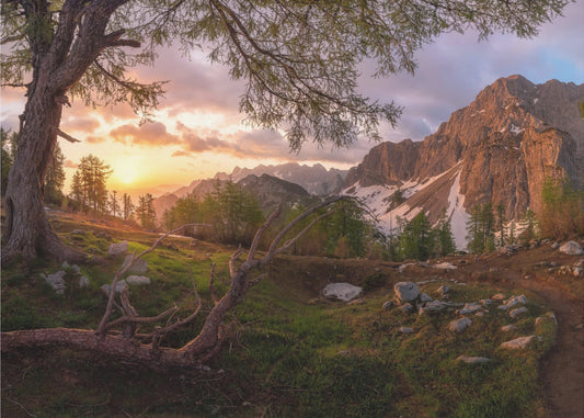 Magischer Morgen | Hintergrundbild