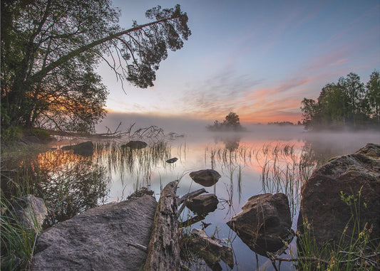 peaceful morning | Canvas