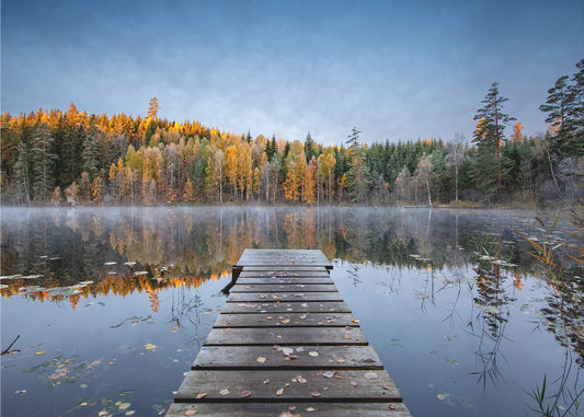 Herbstpier | Tapete