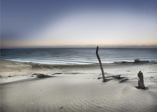 Greif nach der Sonne | Poster
