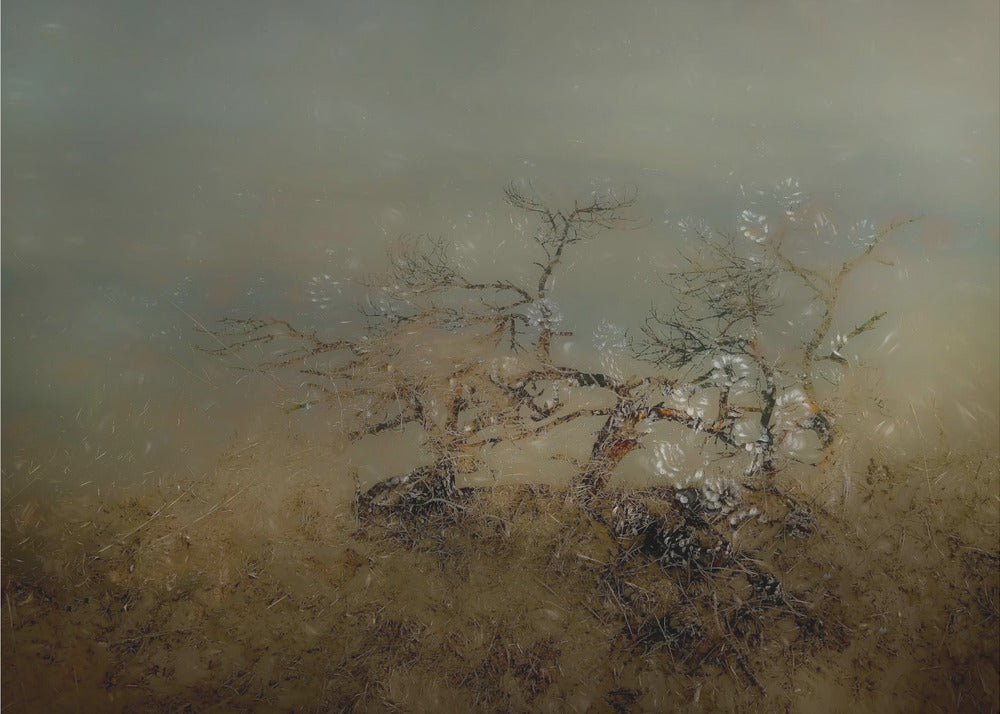 Old tree | Poster