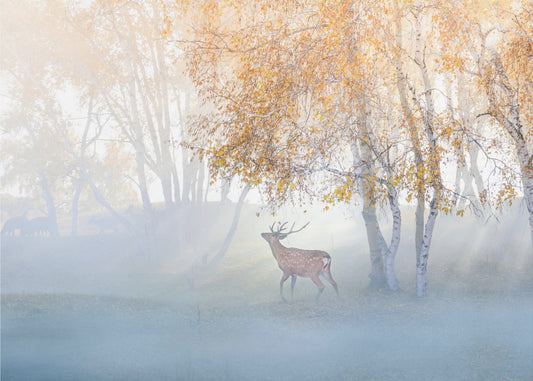 Elch im Nebel verloren | Tapete